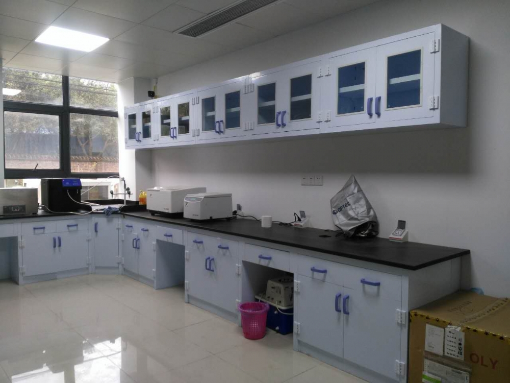农科院PP实验台、吊柜